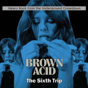 Various Artists - Brown Acid:The Sixth Trip