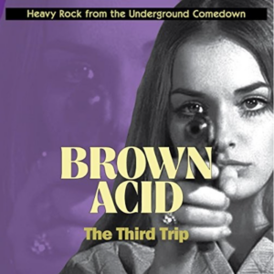 Various Artists - Brown Acid:The Third Trip